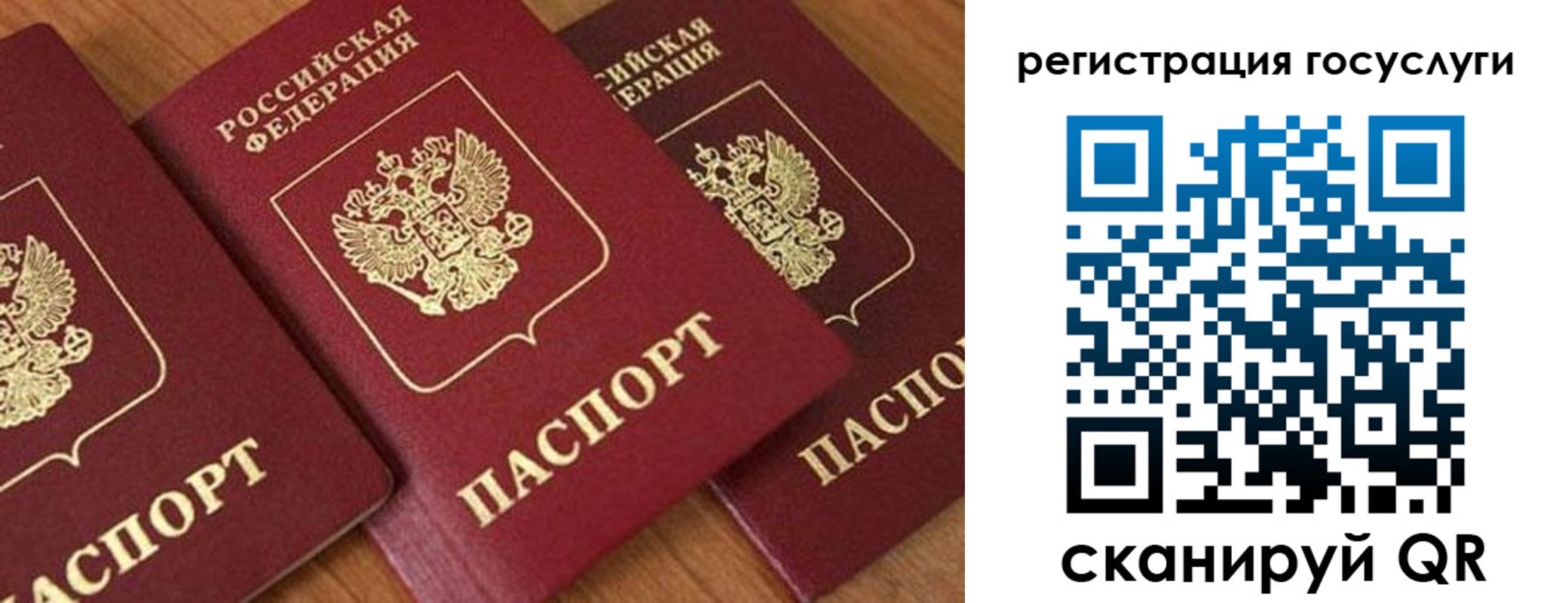 временная регистрация гарантия в Котово